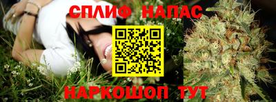 крисы Кунгур